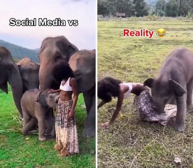 Chai Lai Orchid : Chiang Mai, Thaïlande