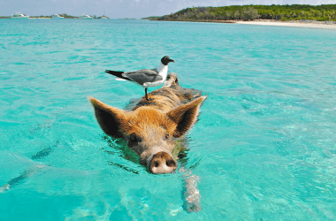 관광객들이 과대평가했다고 말하는 인기 여행지