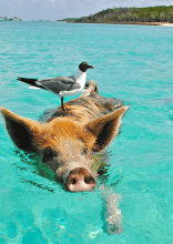 Népszerű úticélok, melyek a turisták szerint túlértékeltek