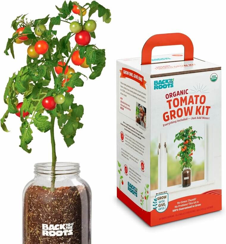 Cherry Tomato Planter - Grow Fresh Tomatoes Indoors Easily 
