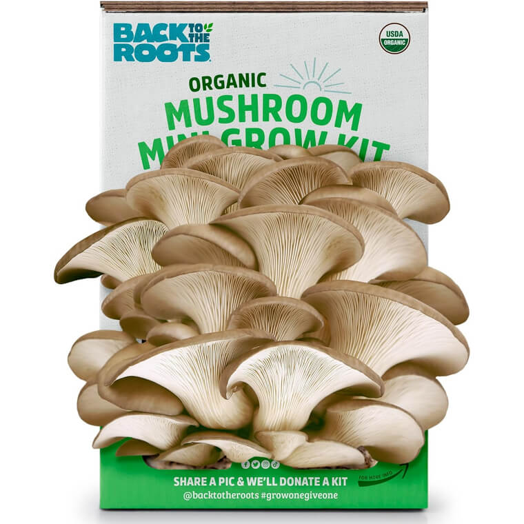 Organic Mushroom Grow Kit - Harvest Delicious Mushrooms in 10 Days! - Enjoy 20% Off!