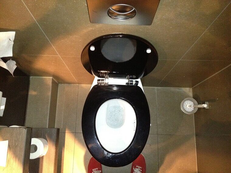 The Average Person Will Spend One Year of Their Life on the Toilet