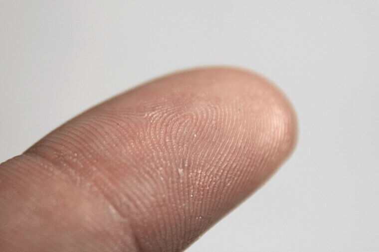 Your Fingerprints Develop Before You Are Even Born