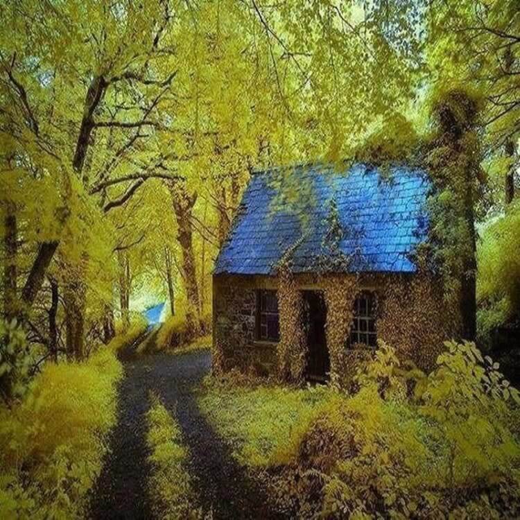 An Abandoned Cottage, Ireland
