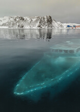 Dolt från världen: Dessa är de största övergivna platserna på jorden
