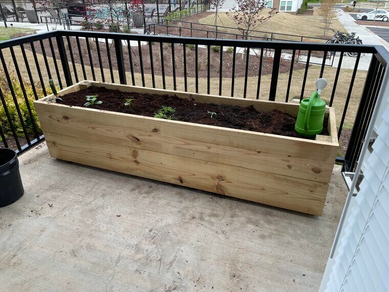 Build a Raised Garden Bed