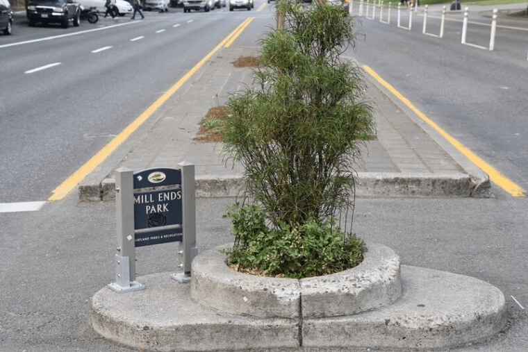 The Tiniest Park In The World
