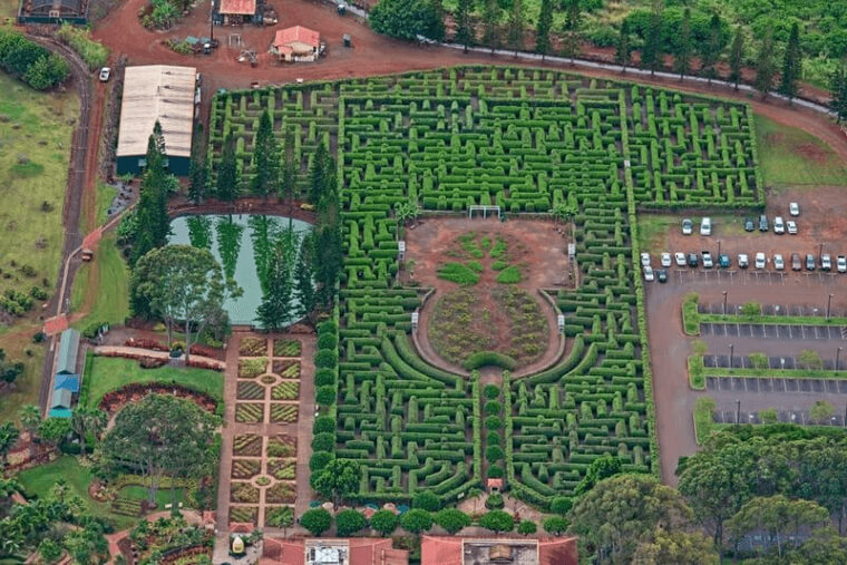 World's Biggest Hedge Maze