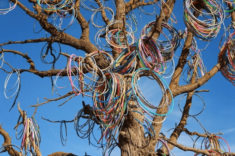The Hula Hoop Tree