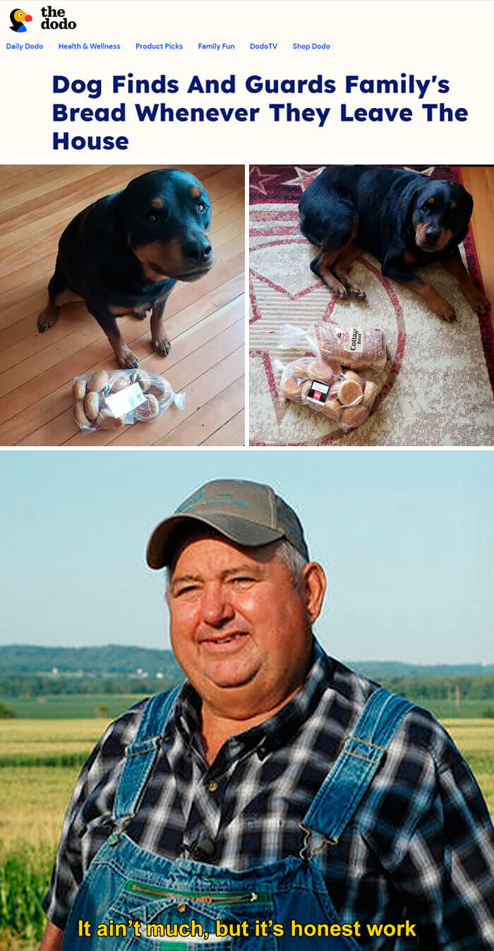 This Bread Must Be Protected at All Costs