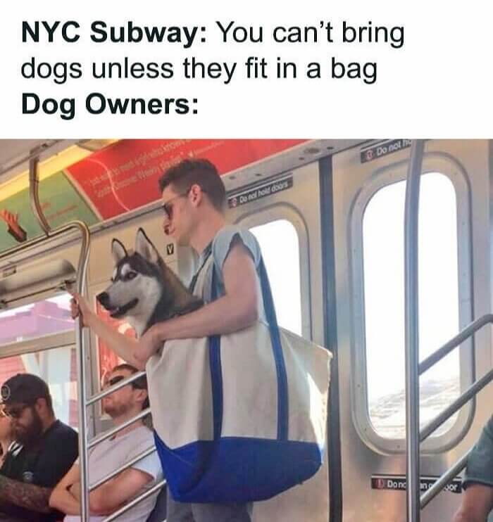 Well, He Fits, Doesn't He?