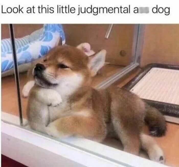 Hmmm, You Really Going to Wear That Coat Today?