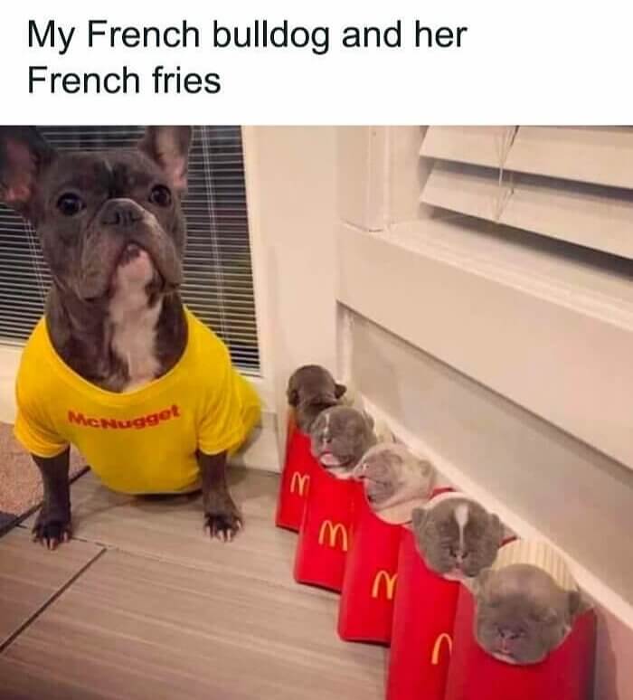 Can I Get Some Fries With Those Nuggets?