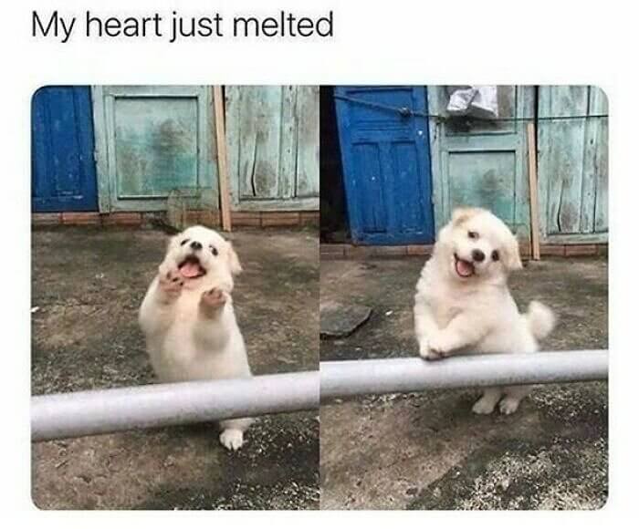 When the Camera's off Vs. With the Camera on