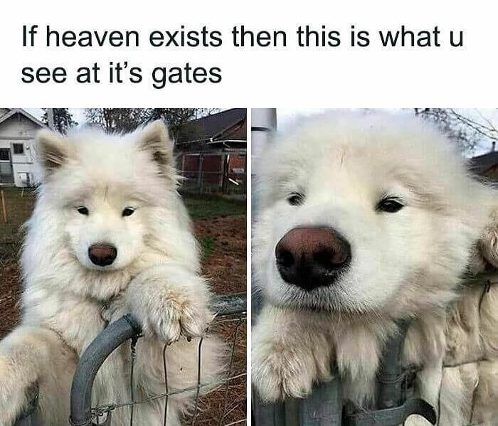 Is This What Heaven's Gates Look Like?