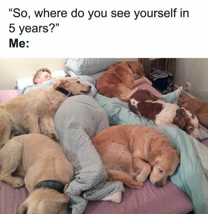 The Measure of Success