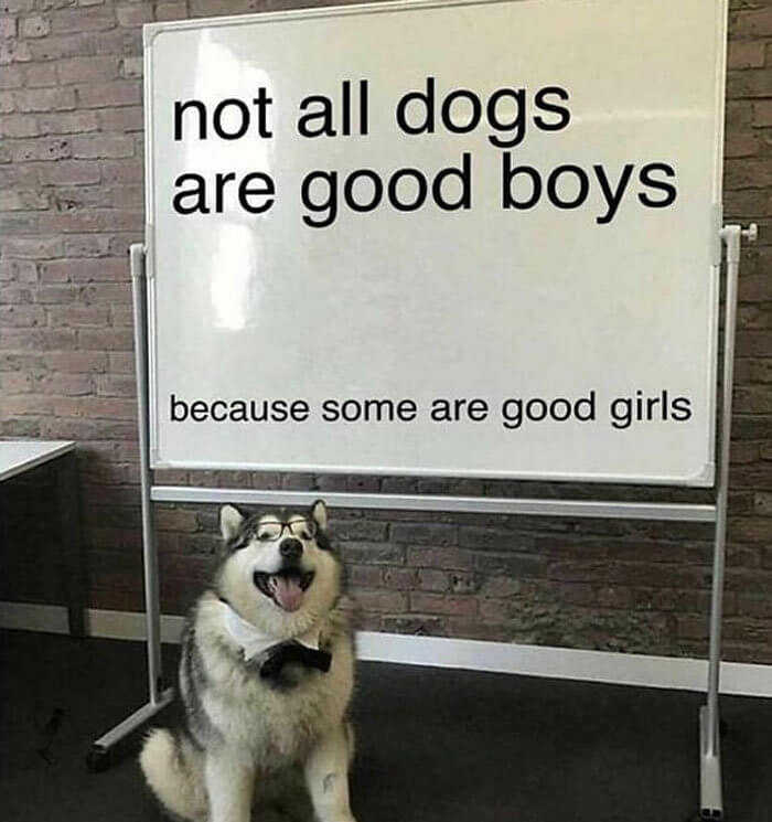 Finally, Someone Addressed It...