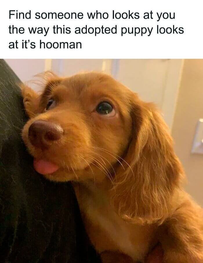 Soul Mates Don’t Always Have to Be Human