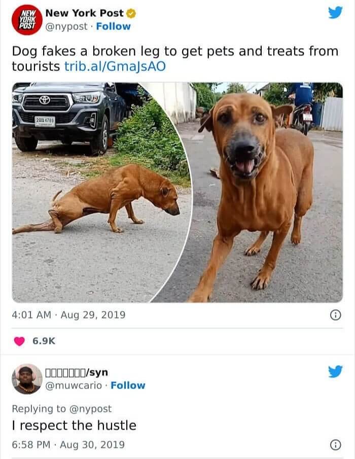 Please, Sir. Can We Have Some More?