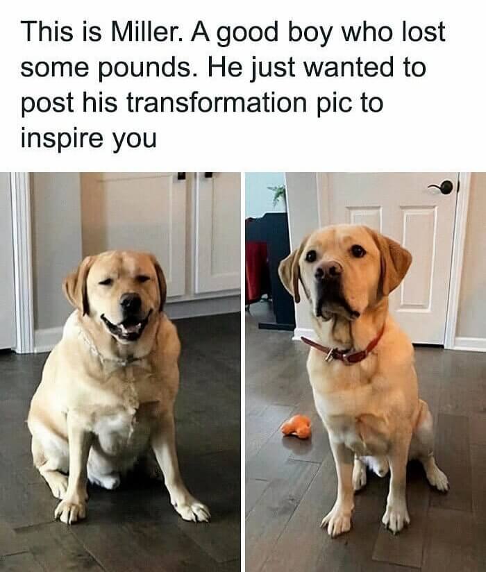 The Only Before and After Pic You Need to See