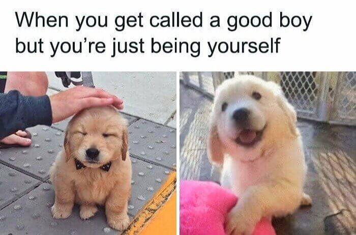 Cute Just Doesn't Cover It