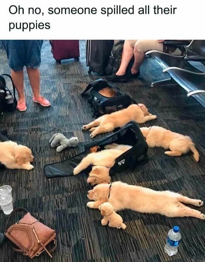 “Attention, Spill in Aisle 5”