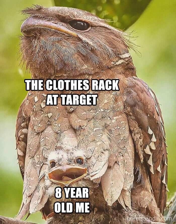 Scaring Strangers Who Were Innocently Shopping