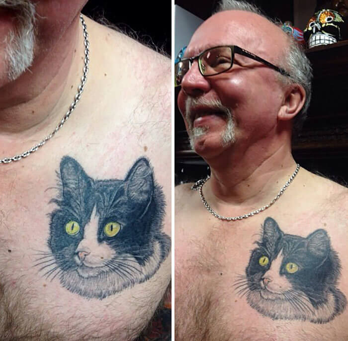 El Gato
