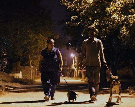 The Van Circled Around Too Many Times