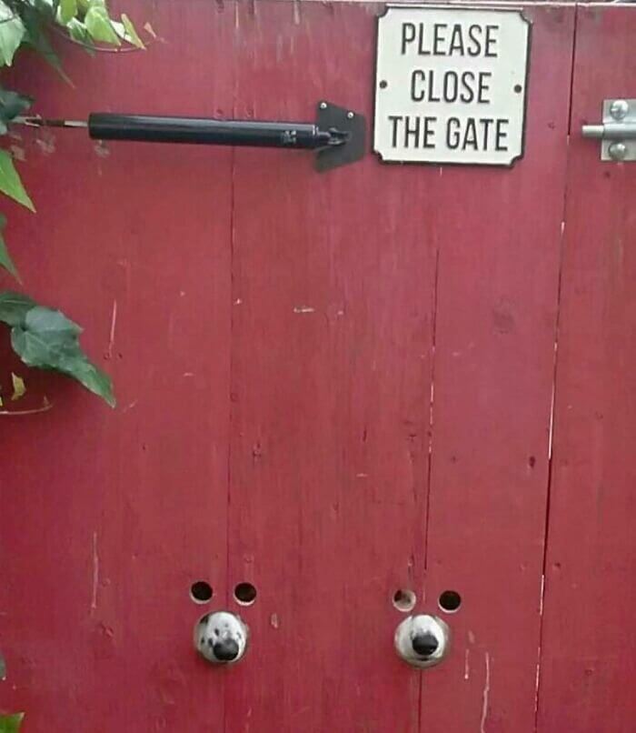 A Cute Reminder