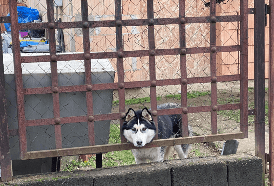 Funny and Relatable Memes That Instantly Improved Our Day