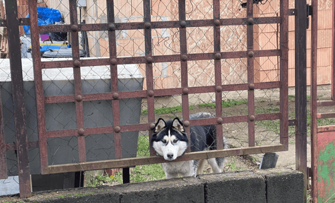 Funny and Relatable Memes That Instantly Improved Our Day