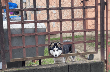 Funny and Relatable Memes That Instantly Improved Our Day