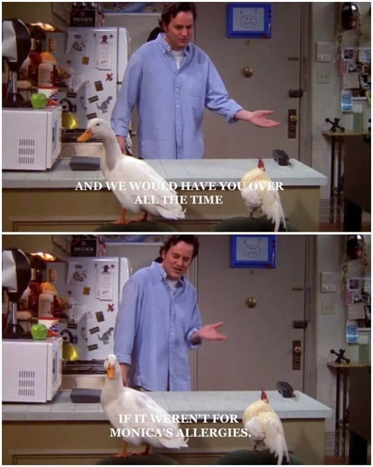 The Dissapearance Of The Chick And The Duck