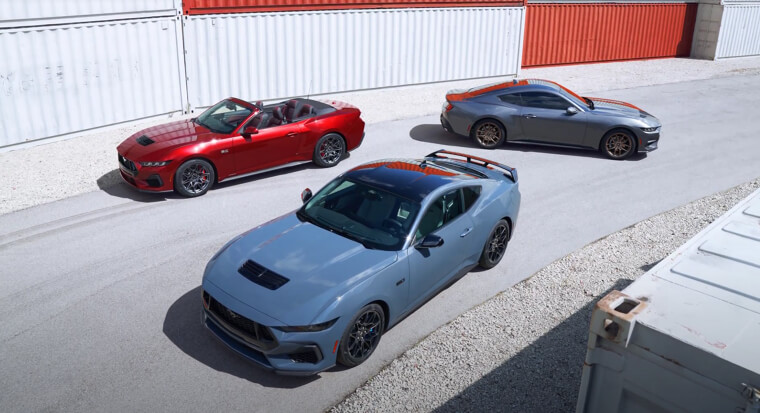 Limited Customization Options