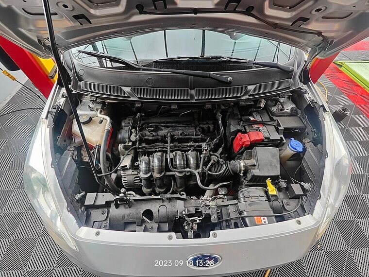 Overreliance on EcoBoost Engines