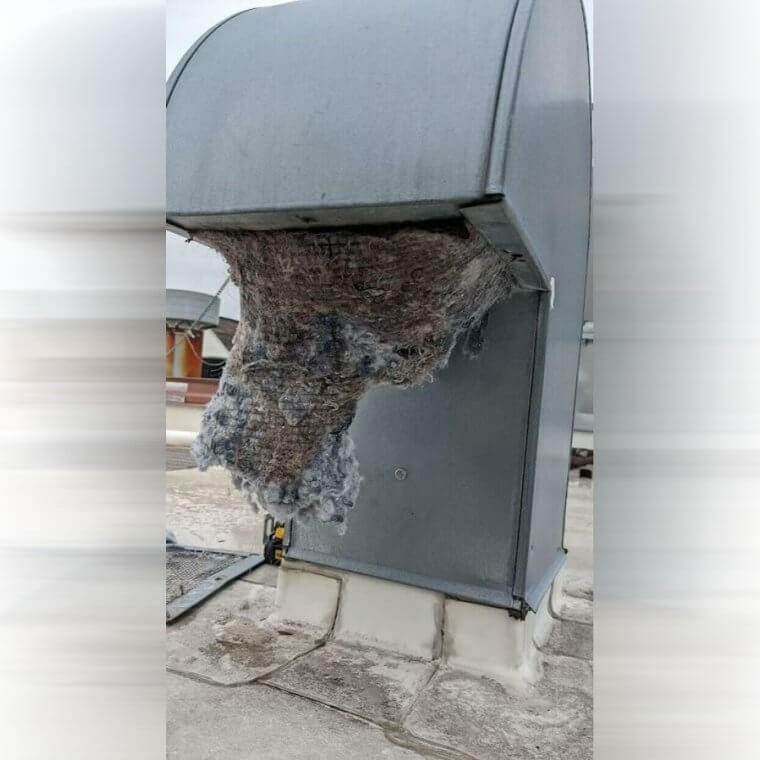 The Most Clogged Dryer Vent You'll Ever See