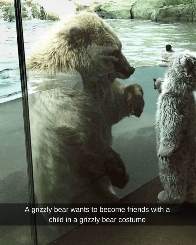 A Grizzly Bear and A Kid in A Bear Costume Hanging Out