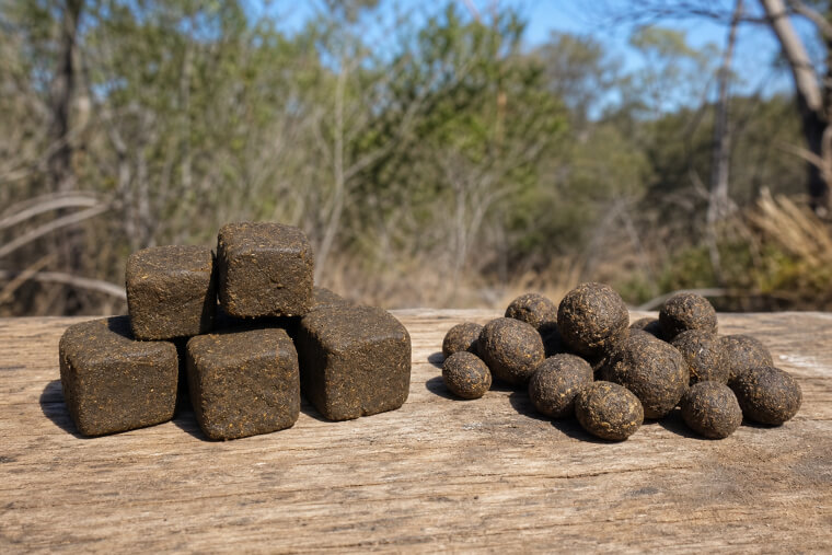 Wombat Cube-Shaped Droppings Beside Normal Ones