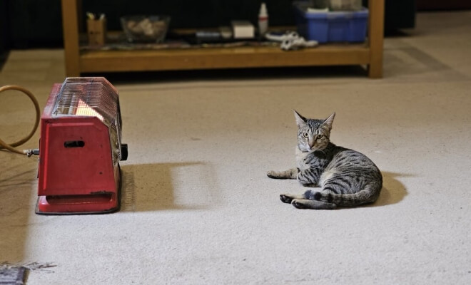 Household Items From the 60s That Were Accidentally Dangerous