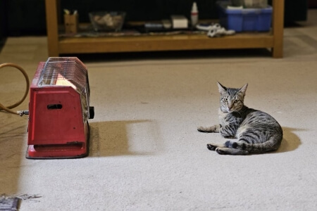 Household Items From the 60s That Were Accidentally Dangerous