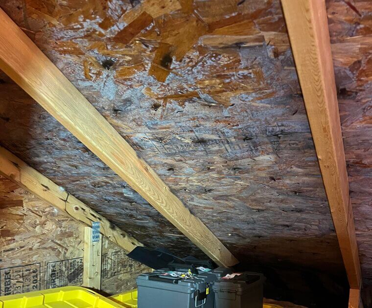 Skimpy Attic Insulation & Ventilation