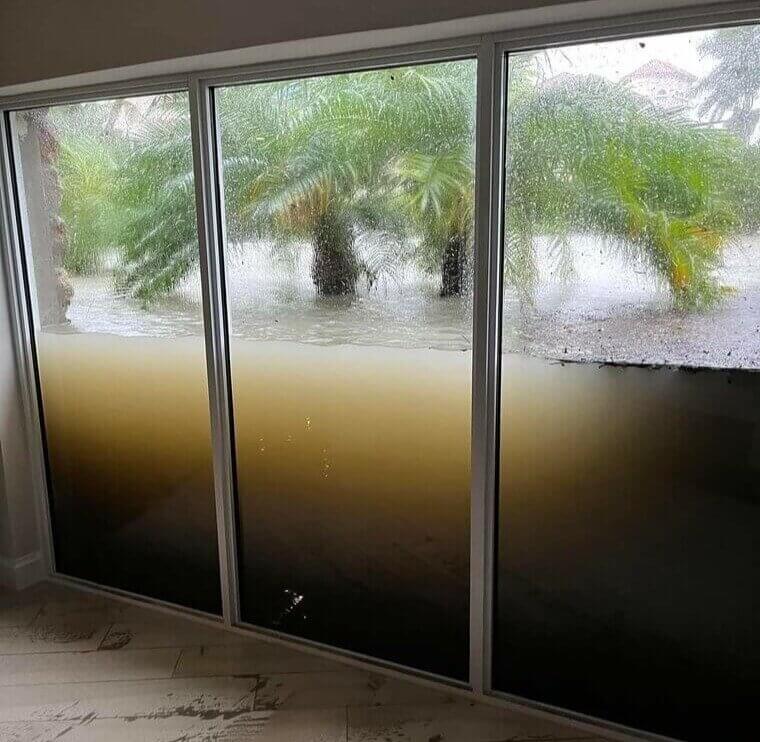 Bare Windows in Harsh Weather