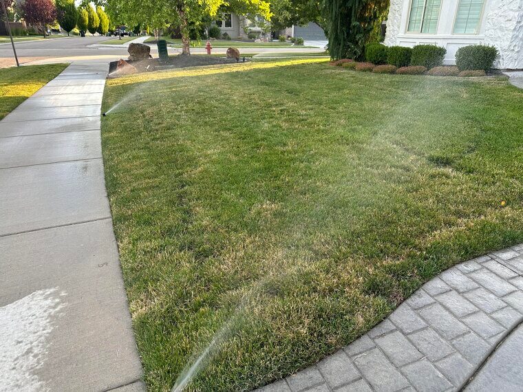 Watering Lawns at Midday