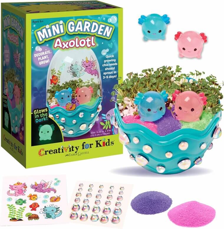Enchanting Axolotl Terrarium Kit: STEM Fun for Kids! - Enjoy 50% Off! 