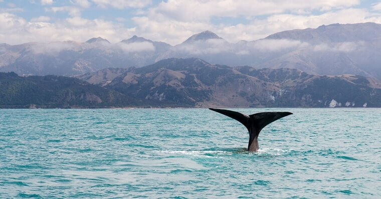 New Zealand’s South Island