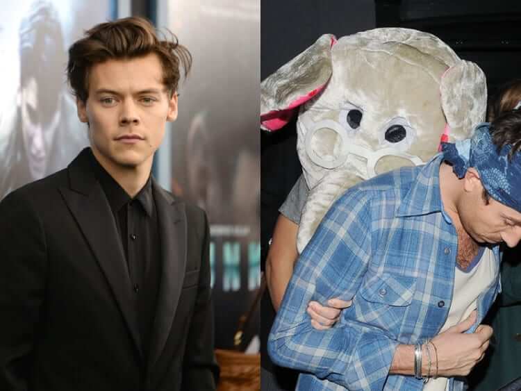 Harry Styles Is One Clingy Elephant