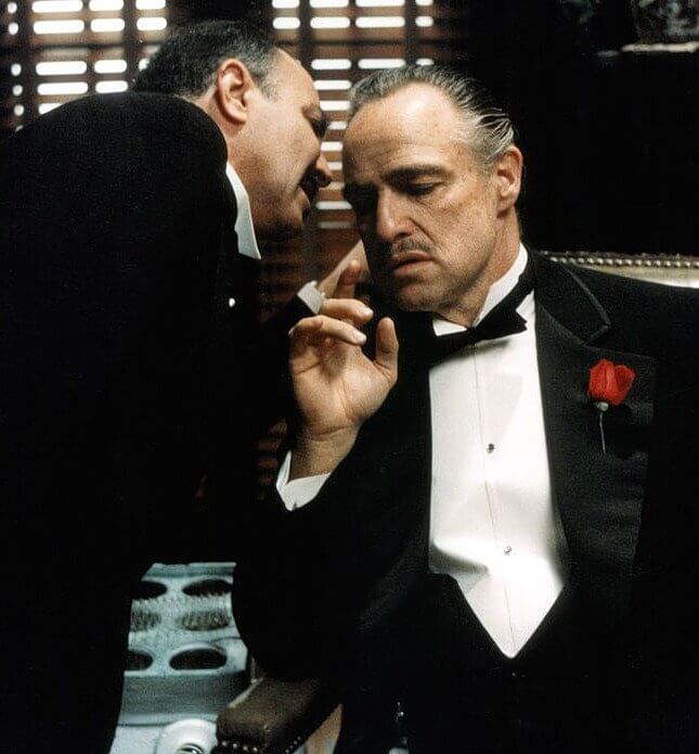 The Famous Scene in the Godfather Featuring a Cat Was Not Planned