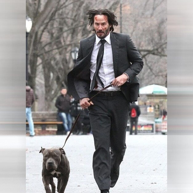 Keanu Reeves Didn't Need a Stunt Double in John Wick: Chapter 2