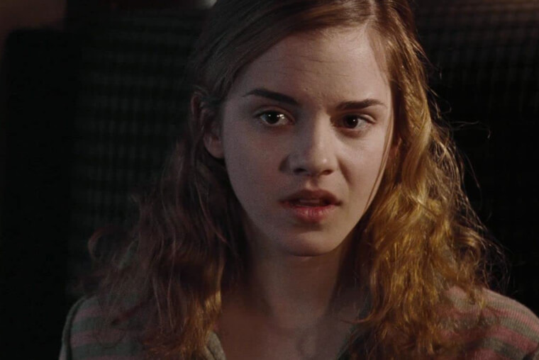 Hermione Fought for Equality for House Elves but It Was Cut From the Films